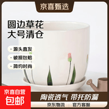 特价清仓陶瓷花盆容器家用室内盆栽带托盘底座蝴蝶兰多肉绿萝花盆 圆边草花 大号