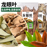 龟真寿龙眼叶养龟仿原生态缸造景龟用红叶100片绿叶100片