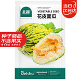 北蔬面瓜种子种苗香瓜甜瓜薄皮纯面四季种水果籽 花皮面瓜种子150粒