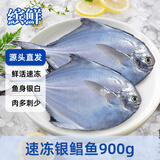缤鲜山东 小银鲳鱼净重900g 约8-12条 深海平鱼 海鲜水产-源头直发