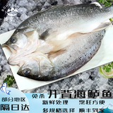 裕琳珑 开背海鲈鱼 调味去麟去腮去内脏 冷冻真空锁鲜 开袋即烹生鲜鱼类 三去海鲈鱼3条装(600-700g/条)
