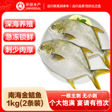 环球水产南海金鲳鱼净重2斤/2条 深海昌鱼生鲜鱼类海鲜纯鱼肉
