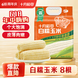 十月稻田 白糯玉米 8根 4.16斤 真空包装 东北甜粘玉米棒 低脂早餐