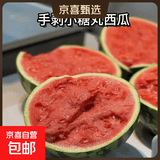 正宗2k超甜手剥小糖丸小西瓜新鲜采摘应季新鲜采摘西瓜水果 净重3-4斤（1-2个瓜）