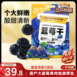 三只松鼠每日蓝莓干500g 蜜饯果干酸甜休闲零食下午茶孕妇儿童健康零食