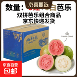 奶油白心红心芭乐 新鲜软糯低卡低热量轻食首先水果 广东产地5斤带箱净重4.2斤（红6粒+白6粒）单果100g起