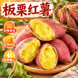 春福乐正宗黄心板栗红薯 新鲜应季现挖现发 香甜软糯 健康早餐宝宝辅食 5斤甄选装【果农现挖】净重4斤