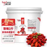 晓飞歌  潜江油焖大虾秘制酱2斤桶装 湖北潜江特产 香辣麻辣调味品