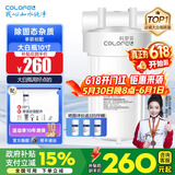 科罗菲（COLOFEL）【品质升级】大白瓶前置过滤器 大蓝瓶大胖瓶中央净水机全屋家用净水器通用滤芯除氯小型中央净水 10寸单联标配（搭PP除固态杂质）
