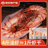 海鲜颂九节虾干即食大虾干烤虾干对虾干特大斑节虾干海产干货大烤虾 特大斑节虾干250g