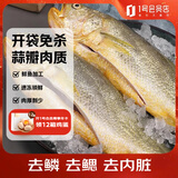 1号会员店（One's Member）冷冻宁德三去黄花鱼 大黄鱼700g/2条装 生鲜水产鱼类