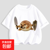 100%纯棉男童我的刀盾女童短袖T恤夏季儿童宝宝卡通半袖上衣童装 008-白色哪吒T110+红色敖丙T111 140