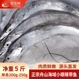 雷达网东海舟山带鱼整条 去冰净重4斤/5斤 带鱼礼盒 端午送礼 源头直发 段宽肉厚整条带鱼净重5斤 大号