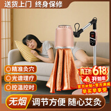 艾点（Ai Dian）艾灸仪器一体机无烟家用理疗仪美容院温灸仪全身用熏蒸仪艾炙烤灯 标准款（七光渗透+蜂窝聚热） M
