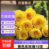 【方德玫瑰】云南鲜花基地直发玫瑰花鲜切38妇女节女神节生日礼物 方德35-40cm黄色系10支