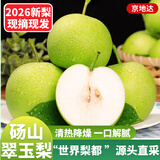 京地达翠玉梨砀山翠冠梨新鲜香梨子水果净重8.8斤单果250g+源头直发