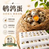 绿田逐新鲜鹌鹑蛋68颗生鲜鹌鹑蛋小鸟蛋净重1.36斤 源头直发包邮