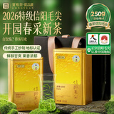 贡苑绿茶2026新茶 特级信阳毛尖250g 正宗明前茶叶高山嫩芽自己喝送礼
