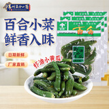 百合锦州百合小菜虾油小黄瓜咸菜东北特产爽口开胃黄瓜腌菜下饭菜即食 虾油小黄瓜125g*3袋