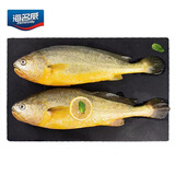海名威 冷冻黄花鱼700g/2条 宁德大黄鱼 深海鱼 生鲜鱼类 海鲜水产