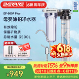 爱惠浦（Everpure） 净水器家用直饮大流量0废水 3500L母婴净水机EF-900P Plus净饮机