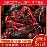 固城福记【活虾】鲜活小龙虾现货净重江苏清水小龙虾特大养殖淡水野生湖虾 【5斤装】567钱（80-110只）