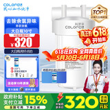 科罗菲（COLOFEL）【品质升级】大白瓶前置过滤器 大蓝瓶大胖瓶中央净水机全屋家用净水器通用滤芯除氯小型中央净水 10寸单联标配（搭UDF除余氯）