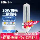 洛林（ROLin）led灯泡节能灯泡 e27大螺口家用商用大功率光源 30W白光