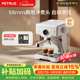 柏翠(petrus) 【价保618】咖啡机意式浓缩家用小型半自动蒸汽打奶泡PE3833海盐小方纯净版