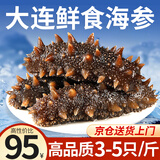 三只海豚即食海参独立单个装深海大连特产辽刺参海鲜水产3-5只净含量500g