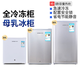 新力（NEWLI） 小冰柜迷你全冷冻小冰箱母乳储奶冷冻箱冷冻柜立式侧开门带锁抽屉式小冰柜母乳专用 BD-80(不锈钢)机械控温 80L
