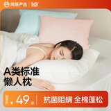 网易严选羽丝绒枕头枕芯松软高弹杜邦羽绒棉五星级酒店抗菌阻螨 【A类全棉抗菌】常规款 750g 牛奶白  1只装