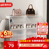 安尔雅超薄鞋柜门口简易鞋架玄关多层防尘收纳架树脂组装柜 双列4层