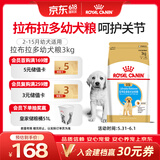 皇家狗粮 拉布拉多幼犬狗粮 宠物大型犬 ALR33 全价犬粮 2-15月 3KG