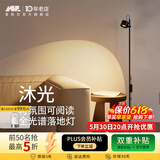 爱斯兰客厅落地灯网红护眼卧室全光谱小红帽氛围灯轻奢极简风沙发立式灯 珍珠镍-12W-暖光（氛围首选）