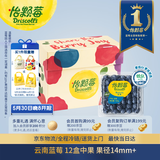 怡颗莓Driscoll's 云南蓝莓14mm+ 12盒装 约125g/盒 新鲜水果礼盒