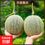 海南网纹沙地京东整箱蜜瓜玫珑新鲜现摘水果冰淇淋包邮 净重8-9斤【3-6个瓜】