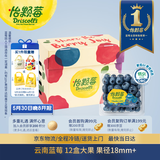 怡颗莓Driscoll's 云南蓝莓Jumbo大果18mm+12盒125g/盒新鲜水果礼盒