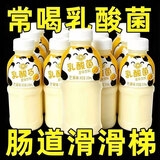 经典风味老酸奶0蔗糖0脂肪正宗乳酸菌风味饮料一整箱批发新日期 风味乳酸菌【310ml*12瓶】健康养胃