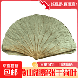 祁珠干荷叶整张荷叶叫花鸡用荷叶鸡包糯米鸡荷叶粥新鲜干荷叶粽叶 整张荷叶5张中片