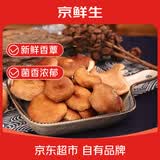 京鲜生云南哀牢山野生香蕈新鲜小香菇净重250g 食用蘑菇小香菌源头直发