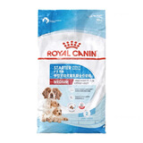 皇家中型犬狗粮MEJ32中型犬2-12月M25成犬粮通用边牧奶糕断奶柴犬柯基 皇家MES30中型犬奶糕10kg