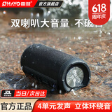 雷登X10音响蓝牙音箱 高音质户外大功率低音炮家用小型随身有源防水迷你便携式2026最新款骑行音响 X10黑色10W【快至当/次日达】 标配【四单元立体声低音炮】