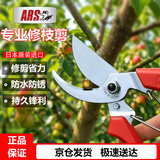 爱丽斯（ARS）120DX 修枝剪刀 果树剪 剪枝剪 园艺工具 园艺剪 花剪园艺剪刀