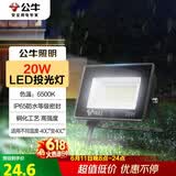 公牛（BULL）LED投光灯户外庭院工厂园林灯露营灯 IP65防水等级20W-6500K白光