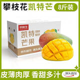 京鲜生攀枝花凯特芒果 净重8斤 单果600g+ 生鲜水果 源头直发