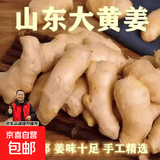 新鲜老姜生姜批发风干无土姜块黄姜月子姜山东大姜新鲜现挖原生态 山东大姜5斤/箱