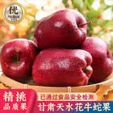 优味集天水花牛苹果新鲜水果应季水果当季丑蛇果婴儿辅食红富士水果苹果 3斤装丨商超级4A大果·单果210g+丨净果2.5-3斤