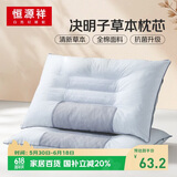 恒源祥枕头决明子抗菌颈椎枕单人睡觉硬枕头枕头芯整头一只装48*74cm