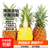 海南金钻凤梨 新鲜水果手撕凤梨孕妇水果 果园直发整箱包邮非菠萝 带箱4斤凤梨 单果500g起约2-3个